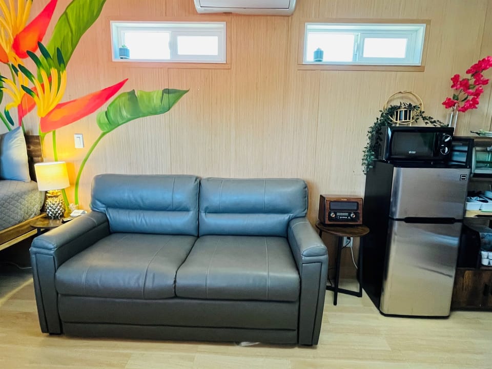 Small fridge, microwave and radio/bluetooth