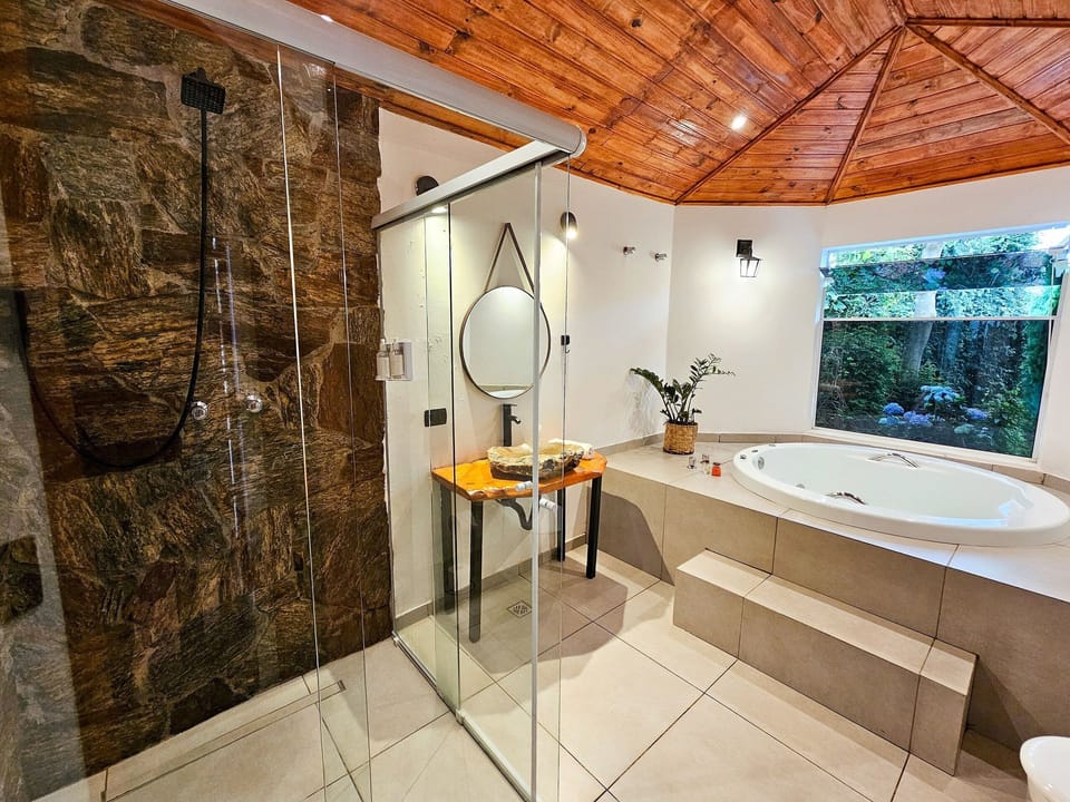 Deluxe Suite | Bathroom | Hair dryer, towels, soap, shampoo