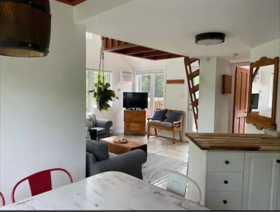 Ladder access to upstairs loft in living room