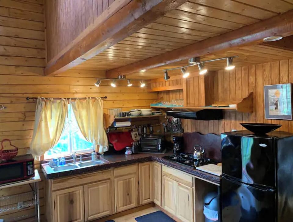 Kitchen space. Gas stove top, Microwave, Toaster oven, Full-size refrigerator.