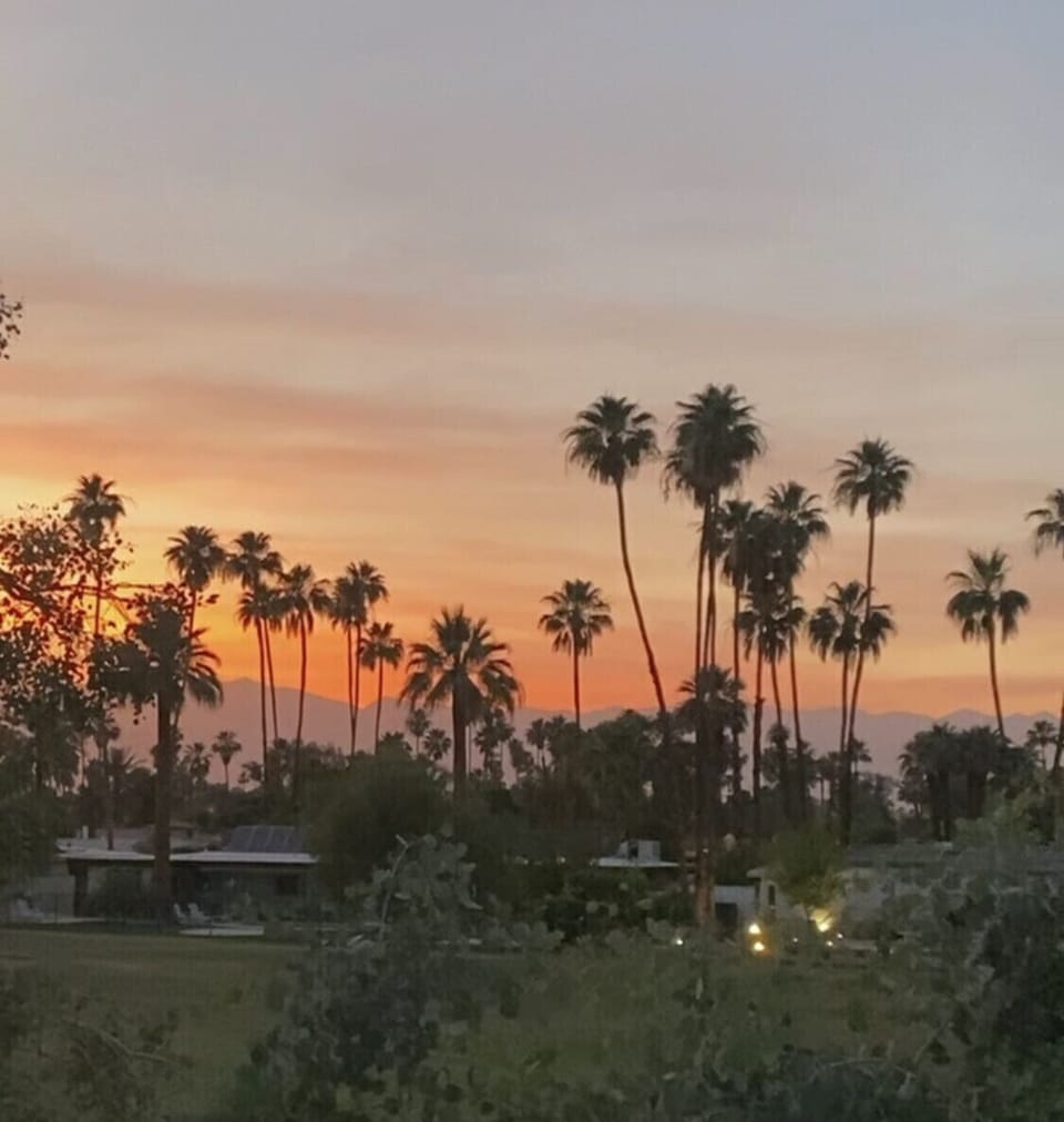 Actual view - desert sunset from the patio