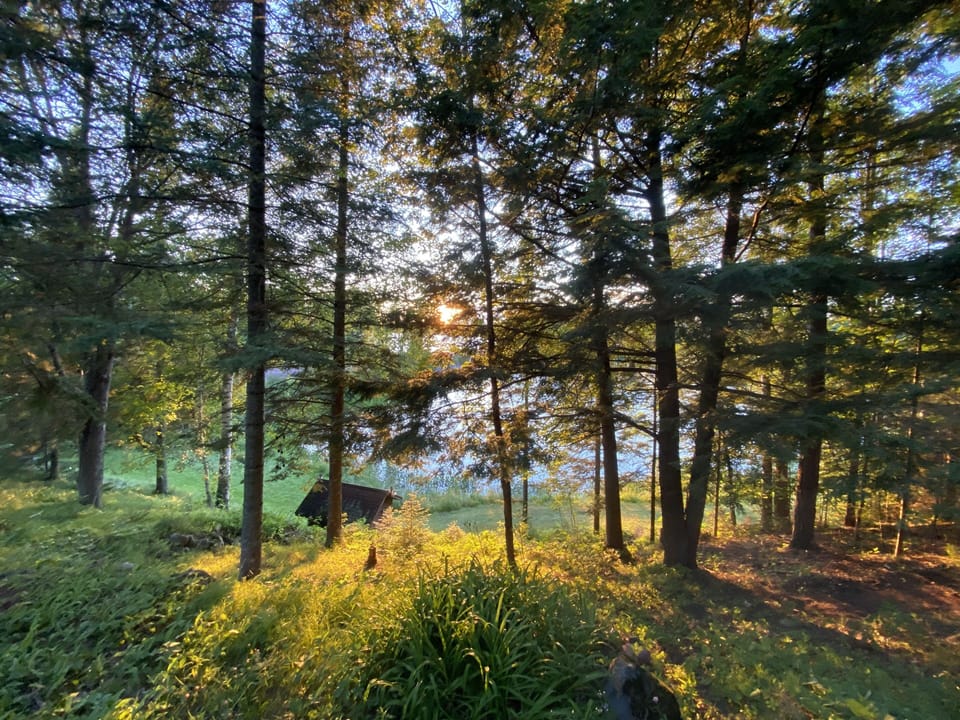 View from "Our Hideaway" - Second Cabin on site that sleeps up to 6