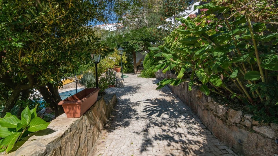 A beautiful garden, perfect to enjoy the morning breeze.
#garden #outdoor #portugal #pt #sintra