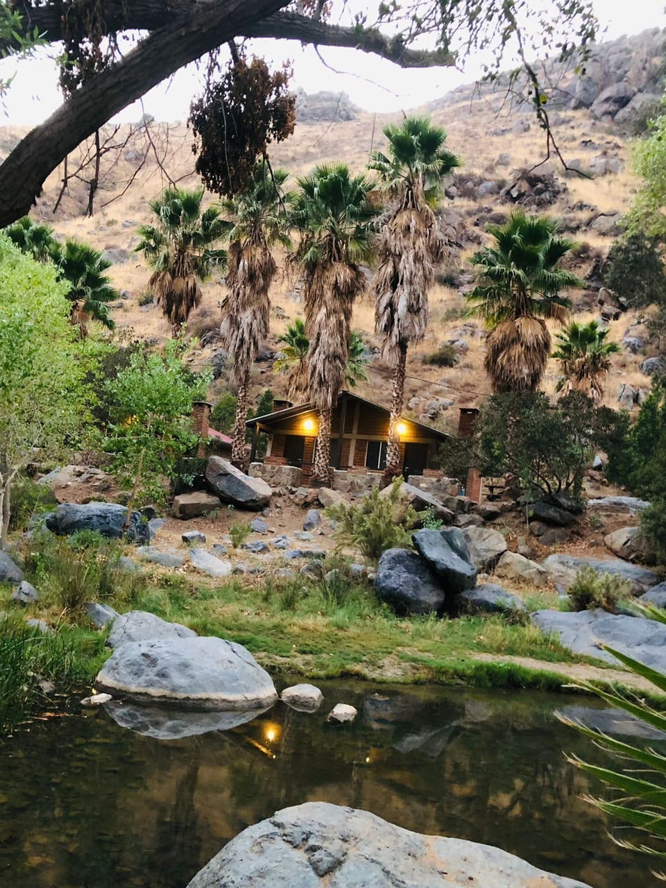 Basic Cabin | WiFi