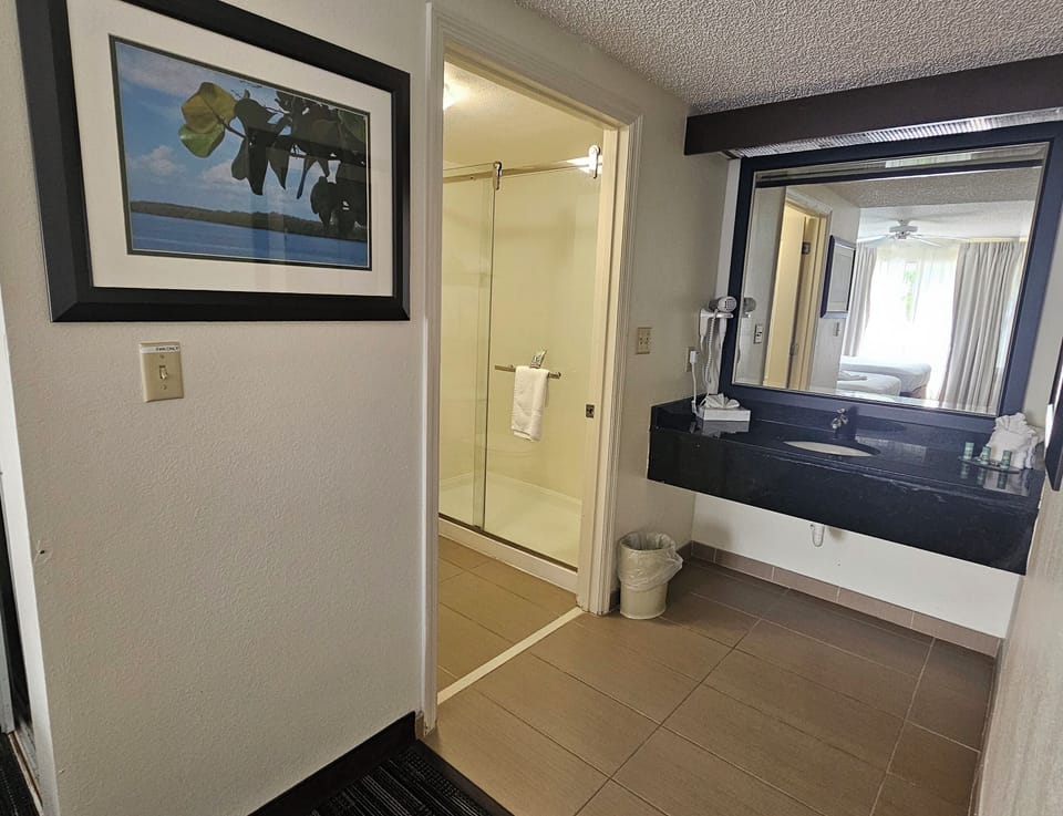 Hair dryer, towels, soap, shampoo