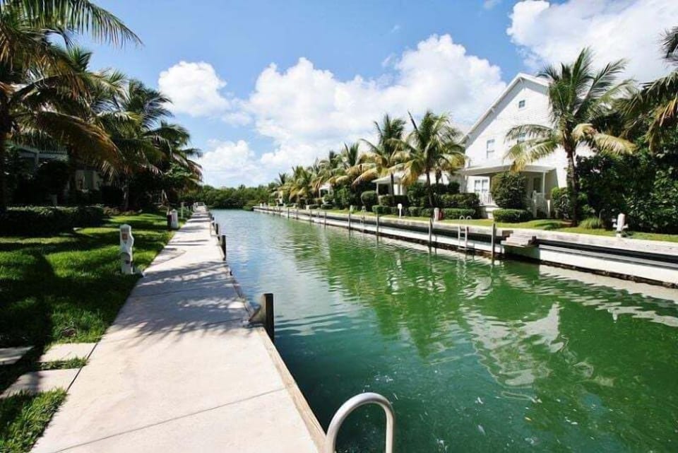 Dock area.
