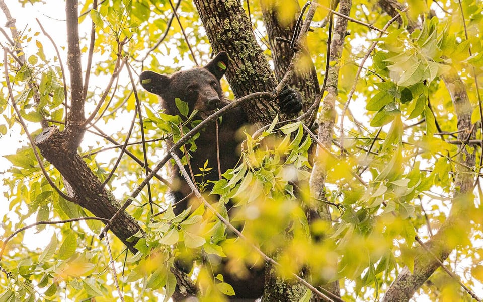 The neighbors can sometimes be nosy :)
