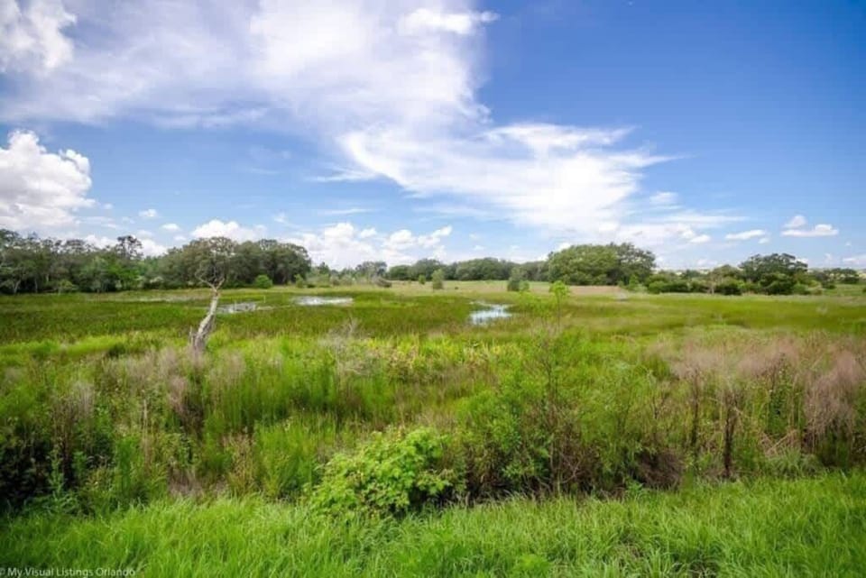 - Peaceful marsh view with open green space and natural scenery
- Scenic outlook perfect for relaxing mornings and sunsets
- Myrtle Beach condo with nature views and quiet surroundings  

