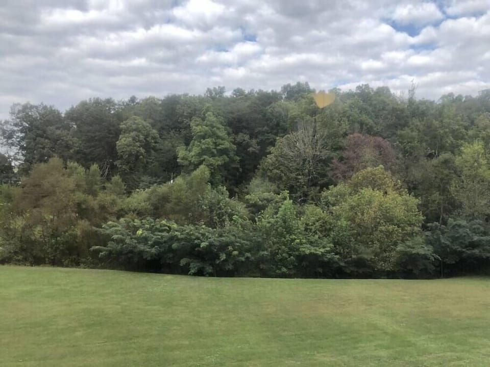 Acres of private open space to enjoy