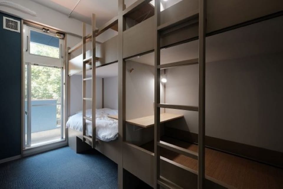 Basic Room | Down comforters, desk, free WiFi, bed sheets