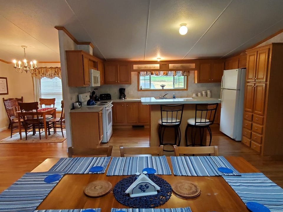 Dining table + counter seating