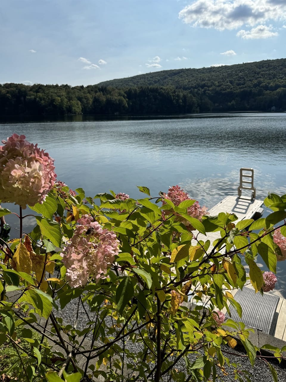 Beautiful Goodyear Lake