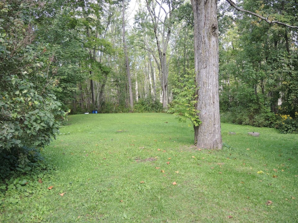 Private backyard shared with all 3 units