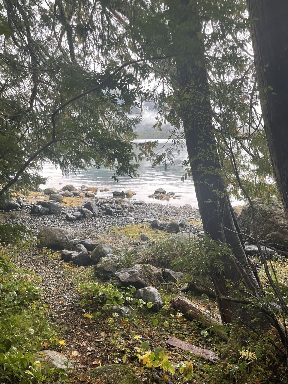 Private trail to the water