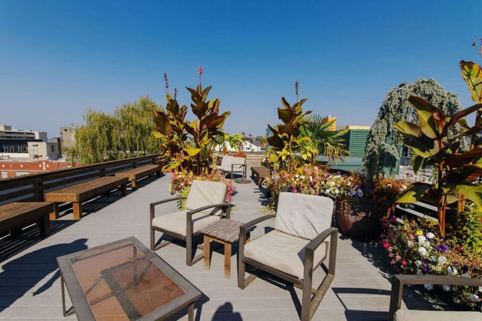 Building Rooftop Patio