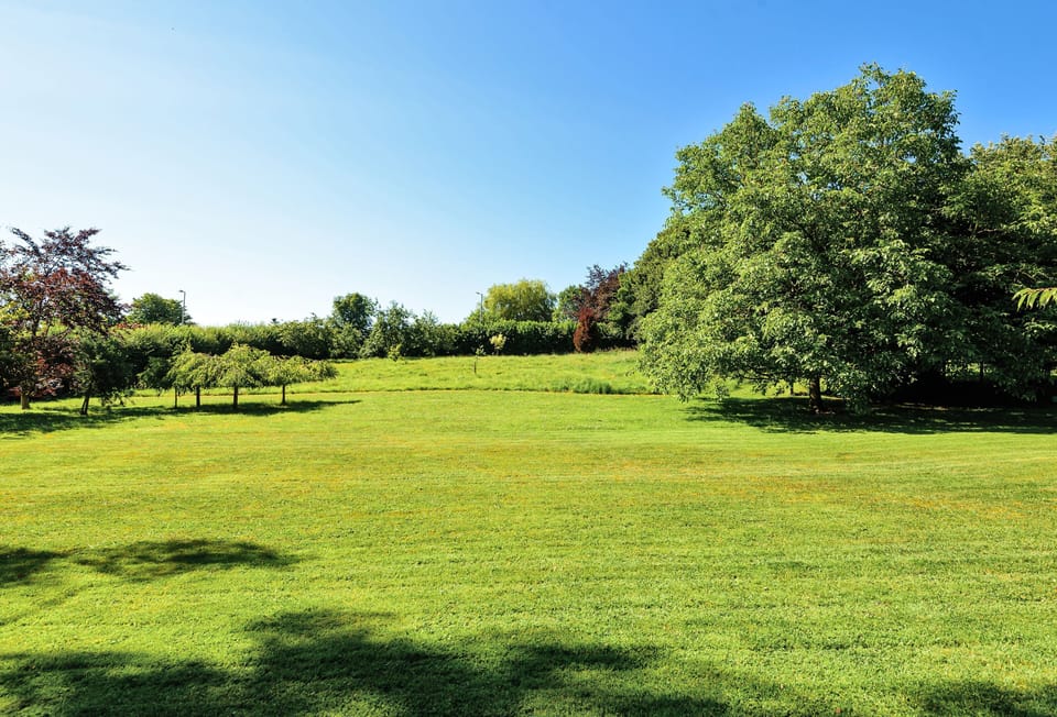La Rose, Shaftesbury: The glorious countryside