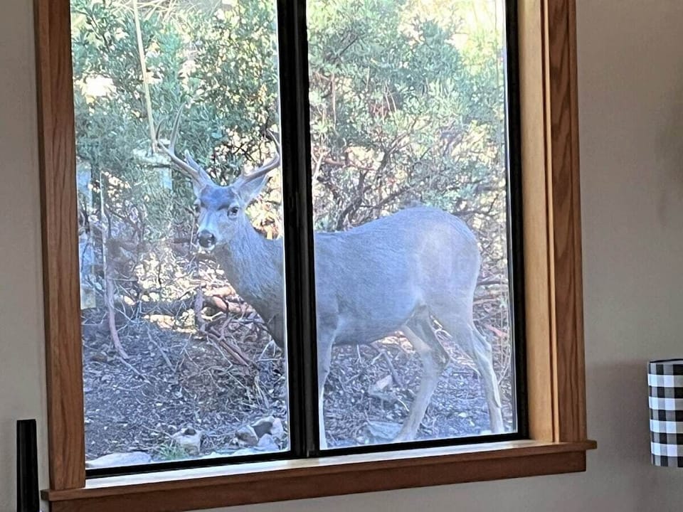 Up close and personal wildlife 