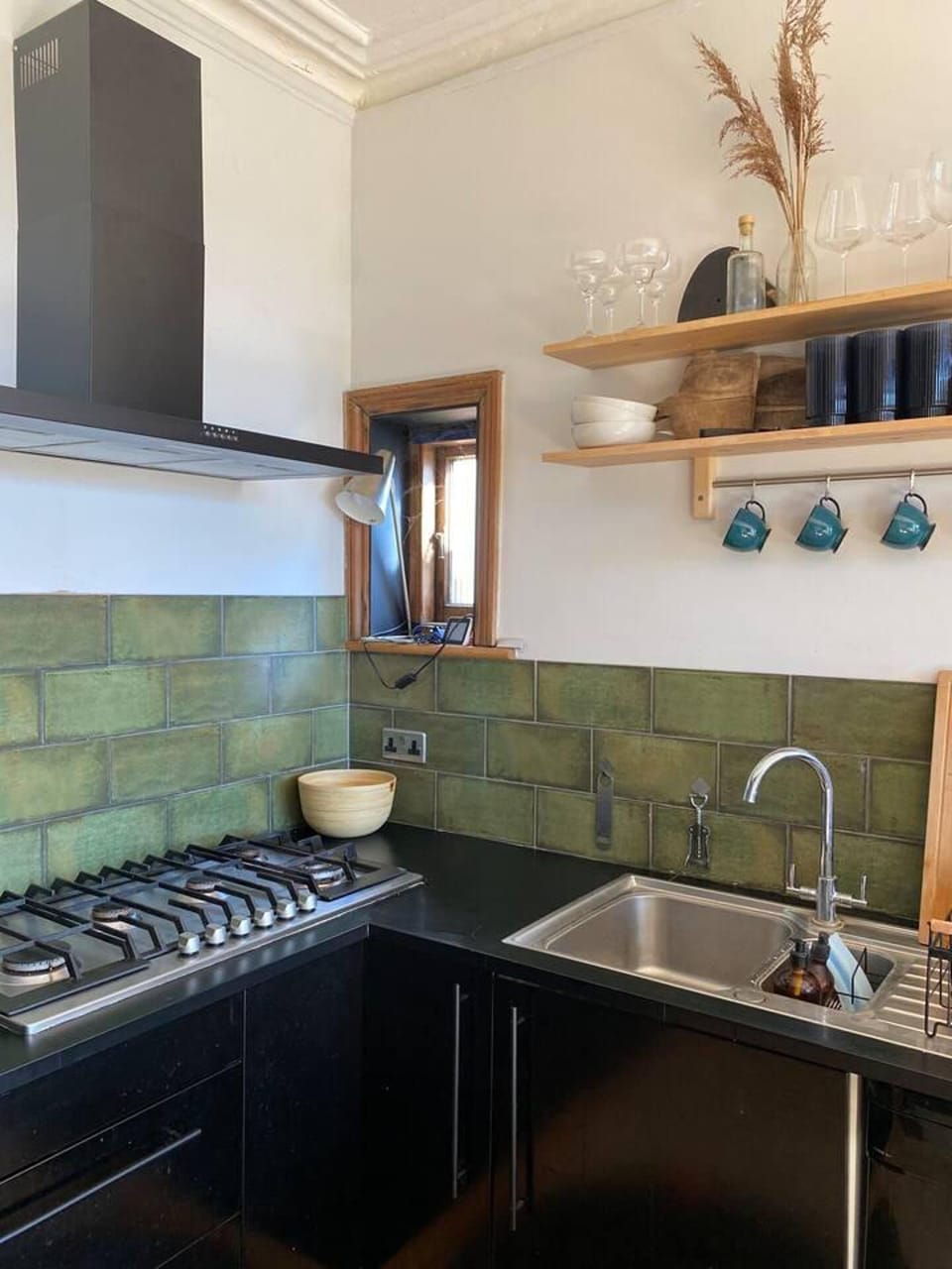 House | Private kitchen | Fridge, microwave, oven, stovetop
