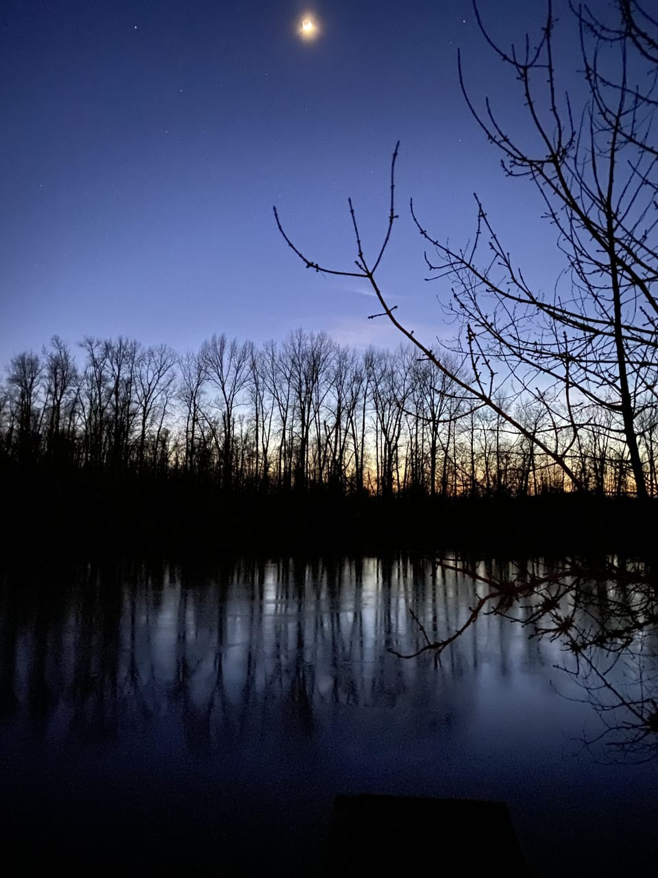 Listen to the birds frolicking in the water each and every day!