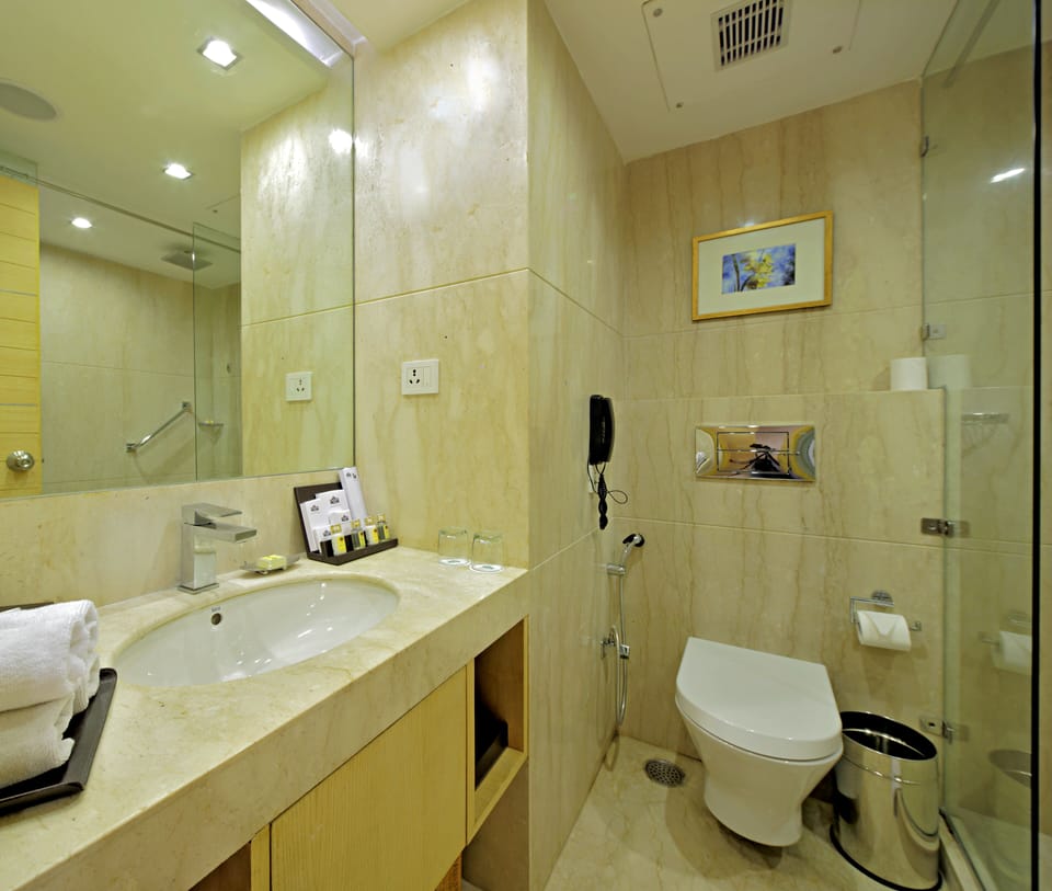 Premium Room | Bathroom | Rainfall showerhead, free toiletries, hair dryer, towels