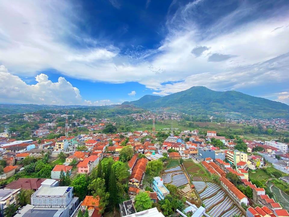 City view from property