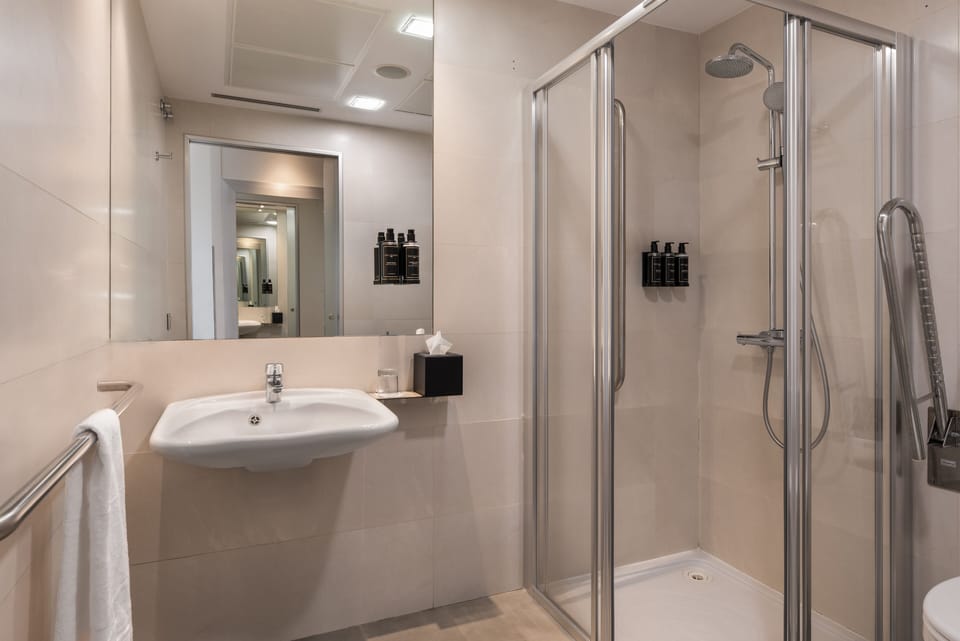 Single Room | Bathroom | Eco-friendly toiletries, hair dryer, bidet, towels