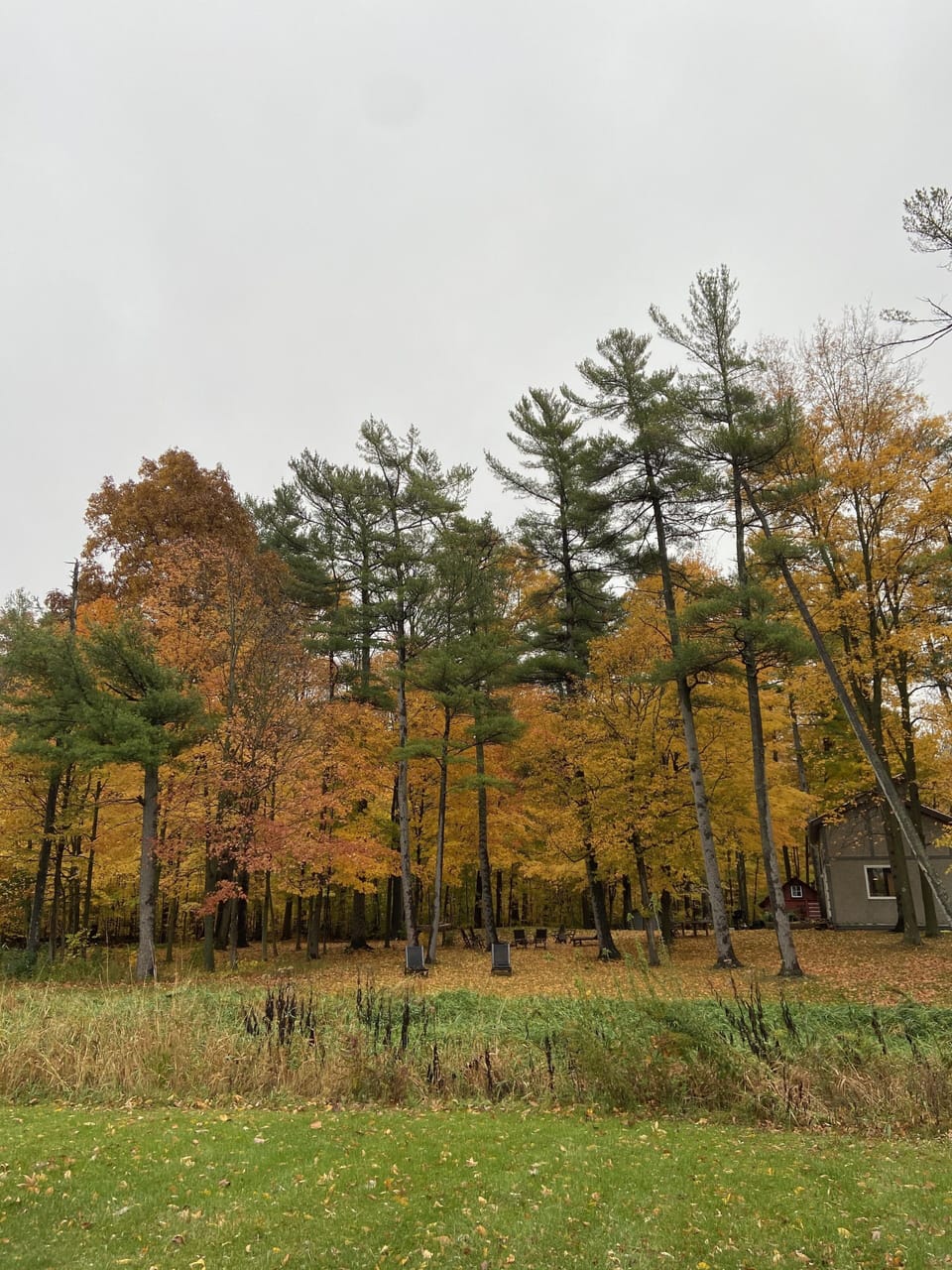 Beautiful fall colours and leaves.