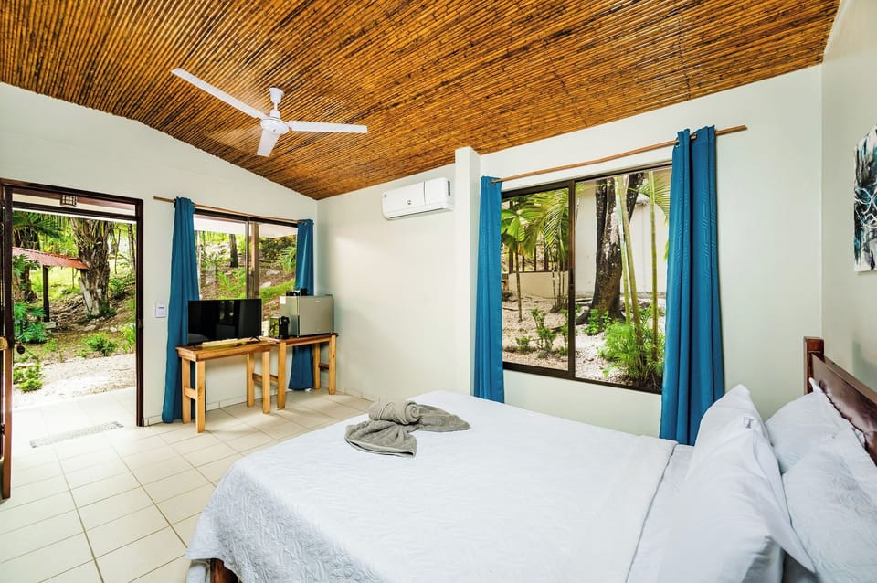 Basic Single Room | Pillowtop beds, in-room safe, individually decorated