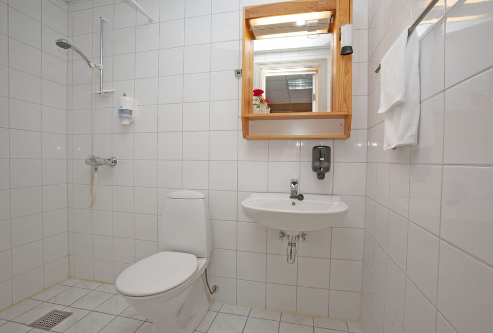 Shower, hair dryer (on request), towels