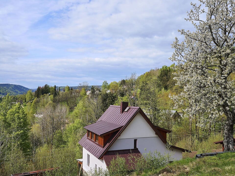 Cloud, Sky, Plant, Plant Community, Ecoregion, Natural Landscape, Building, Wood, Land Lot, Tree