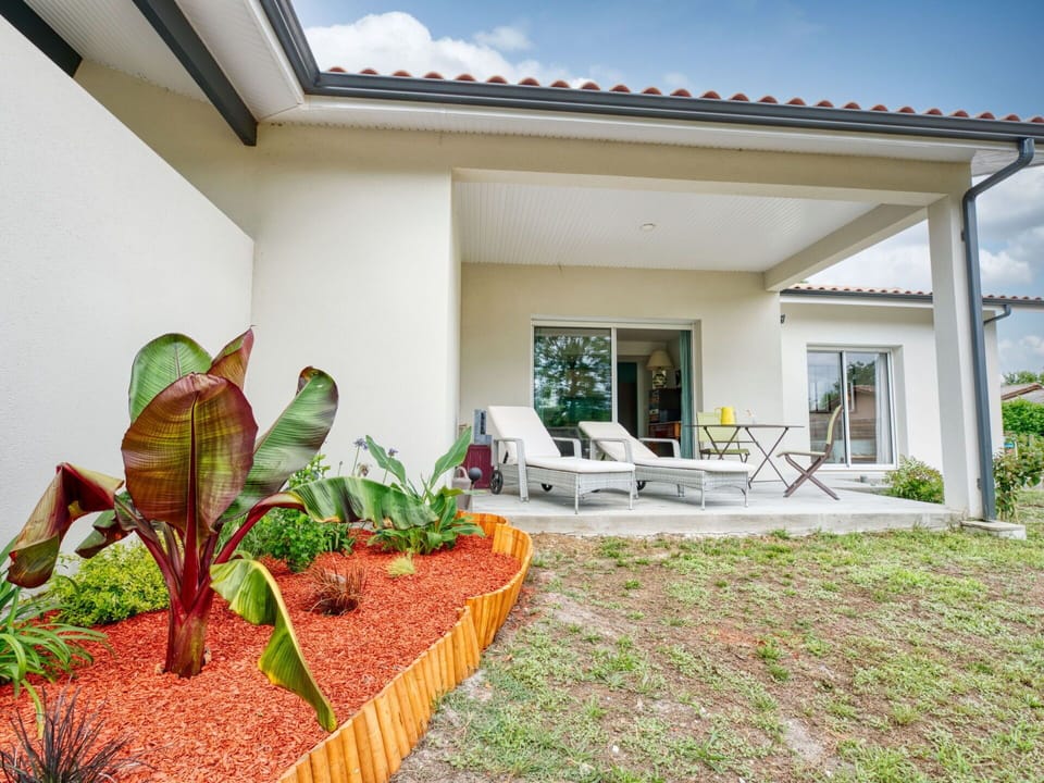 Plant, Sky, Building, Cloud, Interior Design, Shade, Window, Terrestrial Plant, Grass, Real Estate