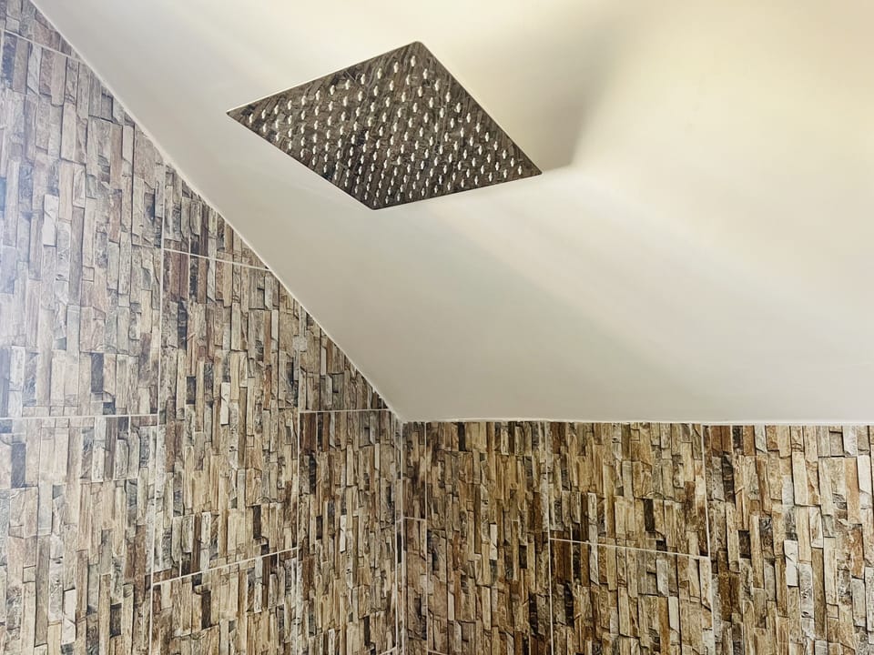 King Suite | Bathroom | Shower, free toiletries, hair dryer, towels