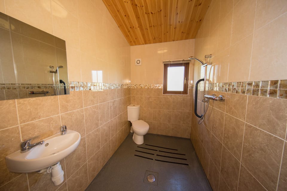 Wet room with shower with grab rail, toilet and sink