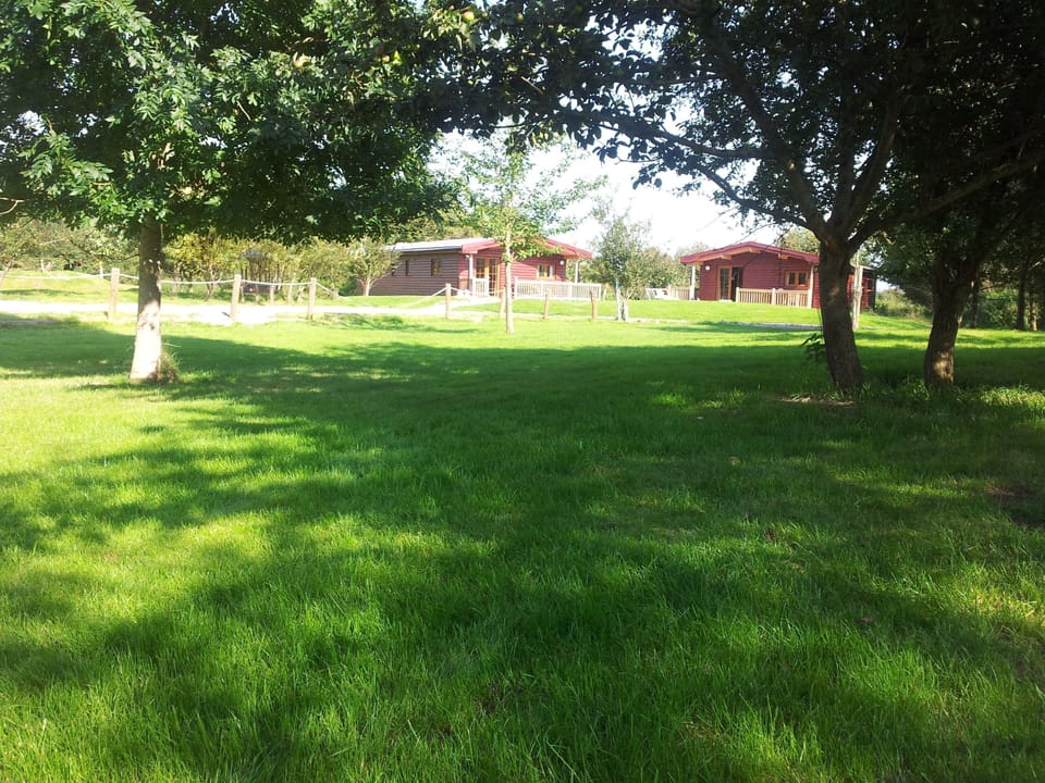 Plenty of room for children to play!