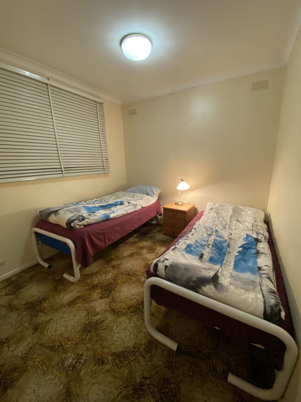 Standard Twin Room | Desk, free WiFi