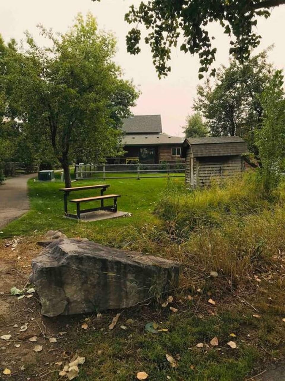 dog park