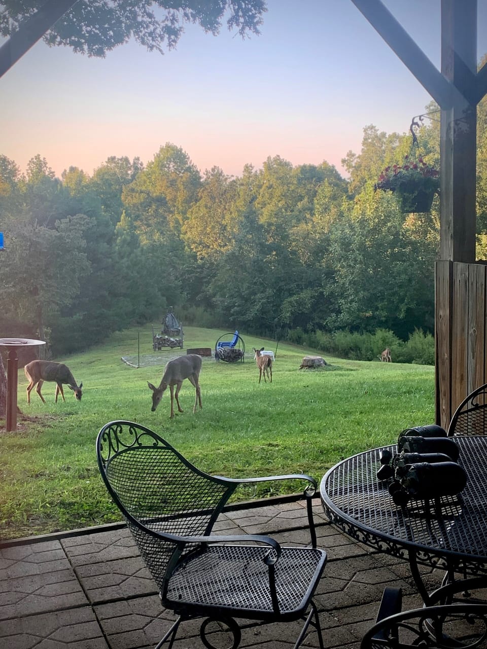 Our frequent visitors.