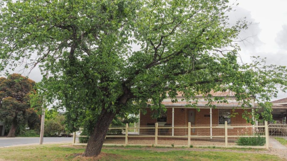 View from the street (Cottage is over the road from the Old Hosptial Facade)