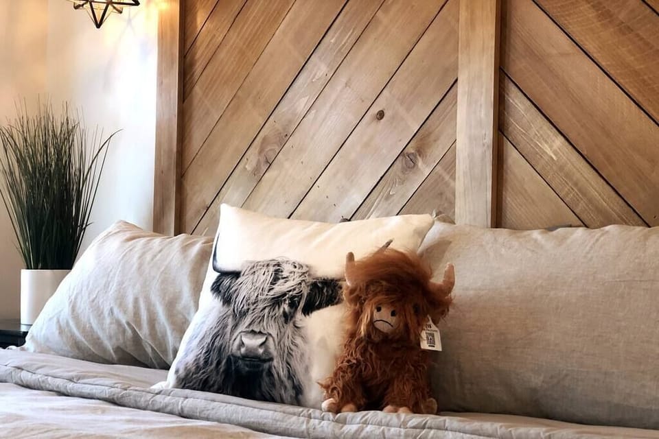 Famous Miniature Scottish Highland Cows
