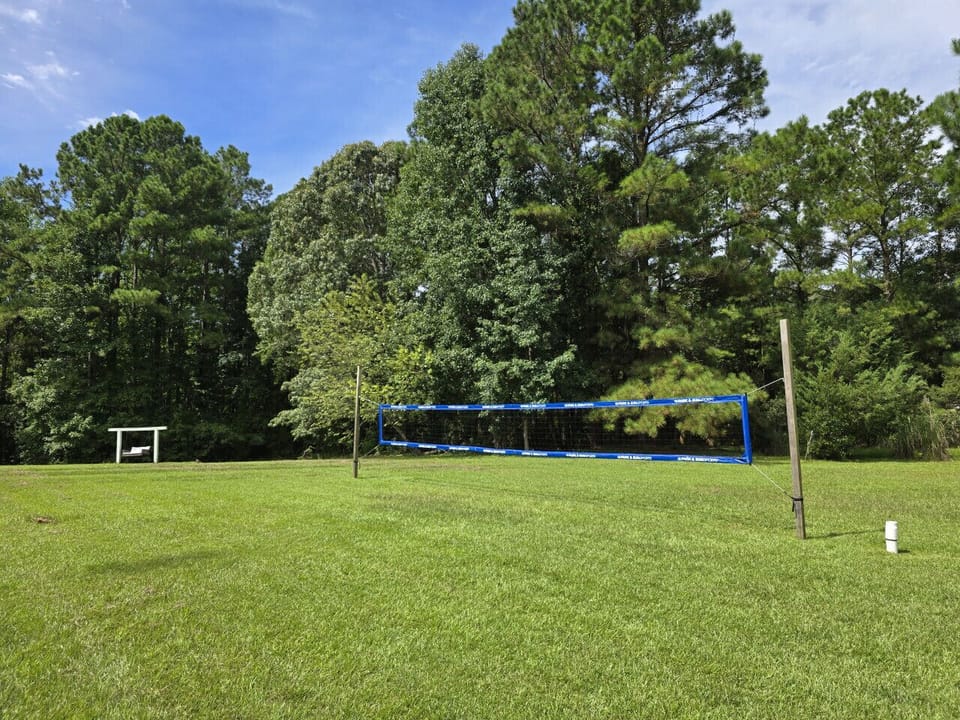 professional volleyball net