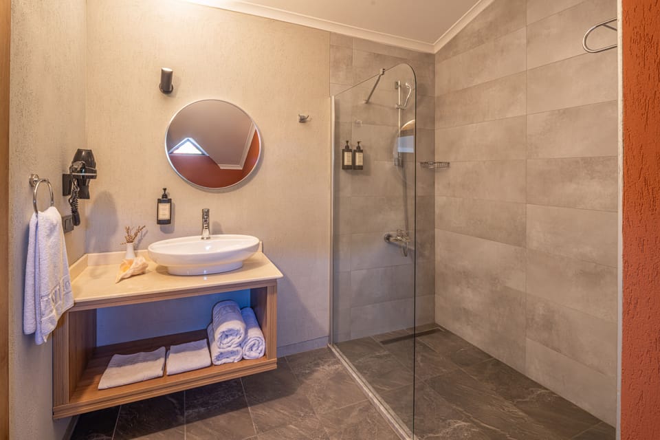 Suite Terrace | Bathroom | Hair dryer, towels, soap, shampoo