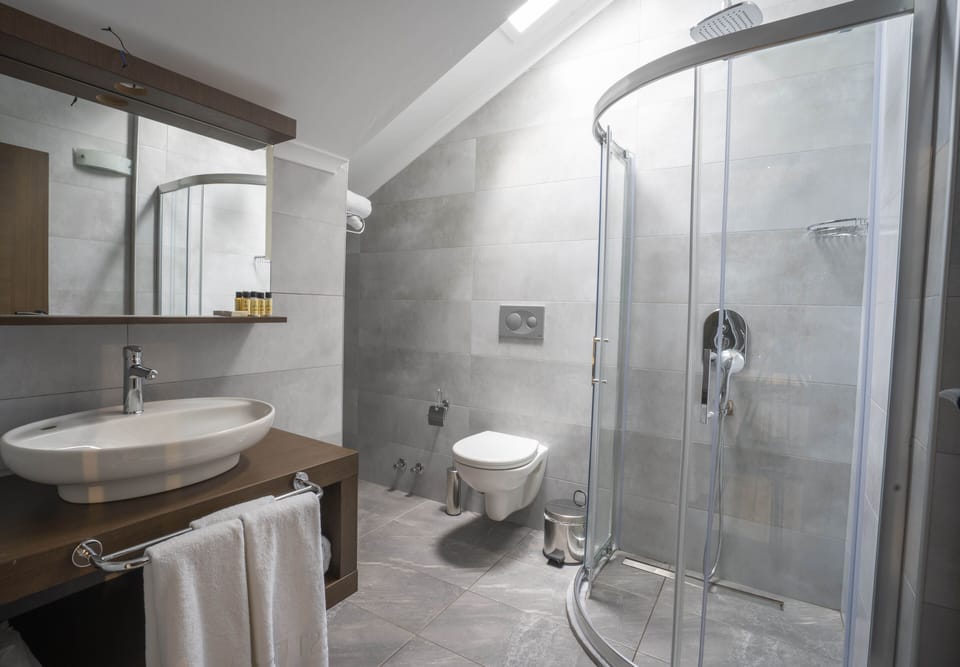 Suite Family | Bathroom | Shower, rainfall showerhead, hair dryer, towels