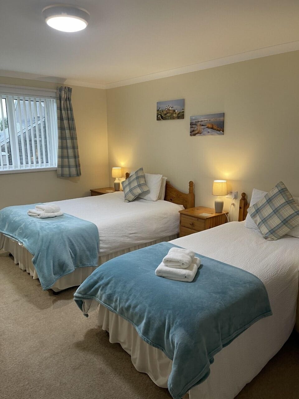 Double or Twin Room | Desk, iron/ironing board, free WiFi
