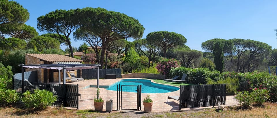 Seasonal outdoor pool, pool umbrellas, sun loungers