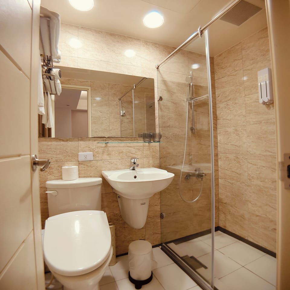 Hair dryer, slippers, bidet
