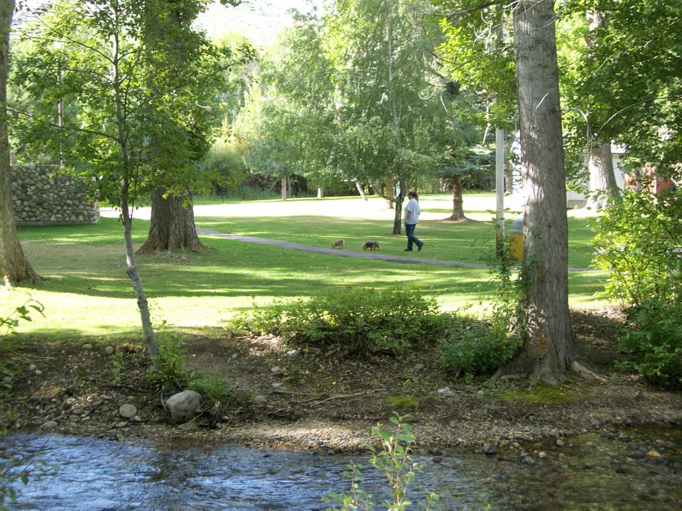 Property grounds