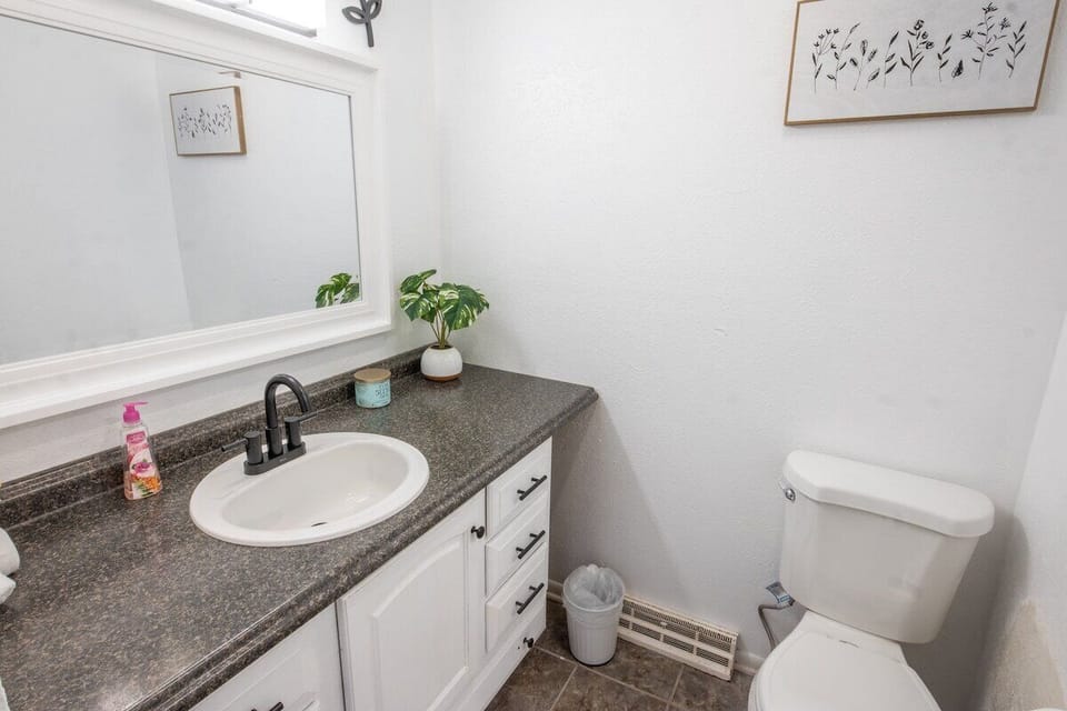 Accessible sink