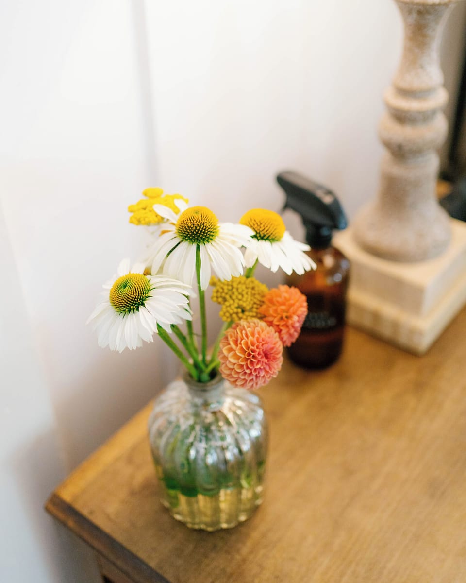 Deluxe Room, 1 Bedroom, Patio, Garden Area | Living area