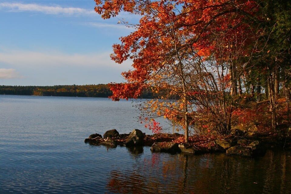 Lake