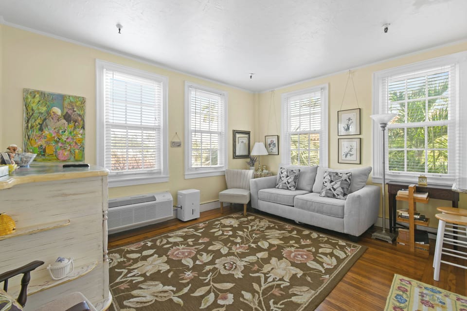 Living Area with AC. Windows, enters sunlight.